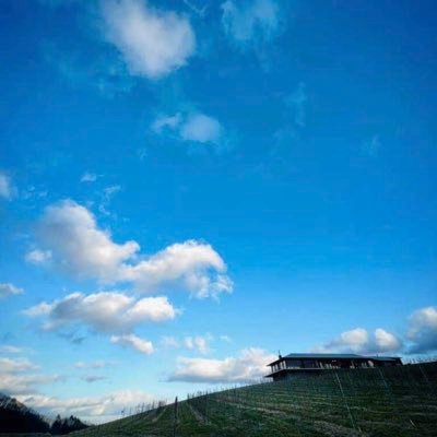 Xlqd7PqrkZHBzVH's profile picture. 