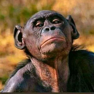 MunyuWebwe's profile picture. Rare