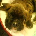 Michael Wallis - @BBRMotormad - Twitter