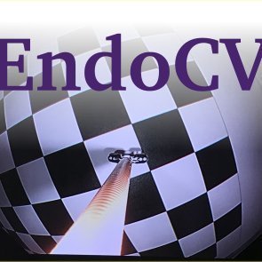 @cv_endo