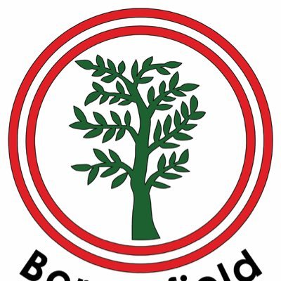 BorrowfieldPS's profile picture. 