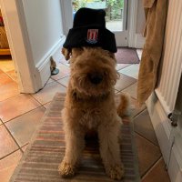 SCFC Mick (@mick1863) 's Twitter Profile Photo SCFC Mick (@mick1863) 's Twitter Profile Photo