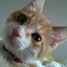 17w3jSaS4p9IJhe's profile picture. 