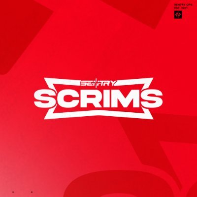 sentryops's profile picture. A Competitive Source For Fortnite Scrims and Customs | Some with CASH PRIZES | Partnered With: @SentryOps , @SplitApparel