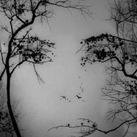 catherine vigier (@catouvigier) 's Twitter Profile