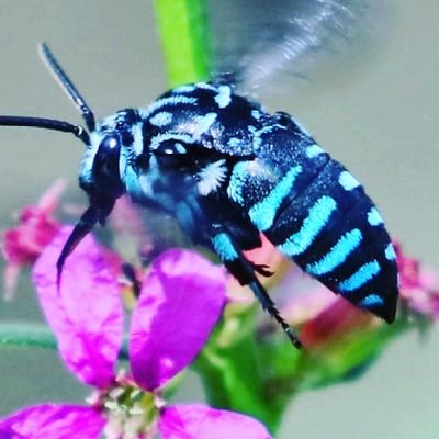 Il9Yk81zs7LluR9's profile picture. 鉱物・植物・昆虫  好き

山 ・川 ・海・船    好き