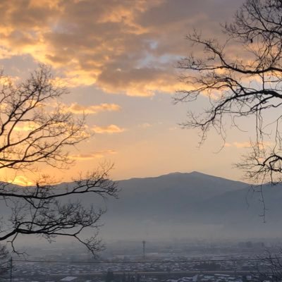 nkmr___3's profile picture. 2人目移植①②③× 体外疲れたのでステップダウン中です/ 🧚‍♂️出たらそのままマタ垢になります /1人目AIH⑤×→2023.1採卵→お休み周期に自然妊娠🧚‍♀️ / ママ垢(@nkmr___0103 ) / 無言フォロー失礼します🙇🏻‍♀️ /