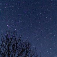 fran (@fran_nightblue) 's Twitter Profile