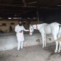 Satinder Singh sidhu (@satindersidhu22) 's Twitter Profile
