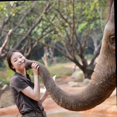 かわいいが好き。台湾華語を勉強中 勉強の為に台湾ドラマ見始めたけどいつのまにかただ華流ドラマにハマってる。香港映画も好き