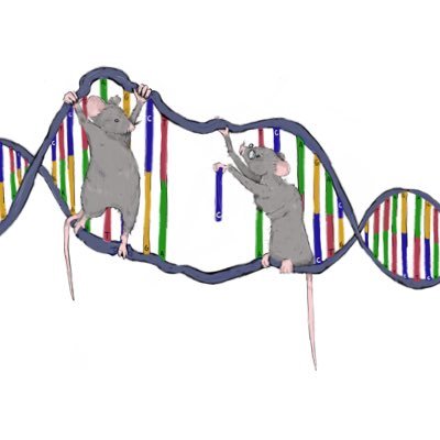 Jon Brown Lab Profile