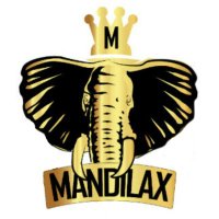 Mandilax(@mandilax_) 's Twitter Profile Photo