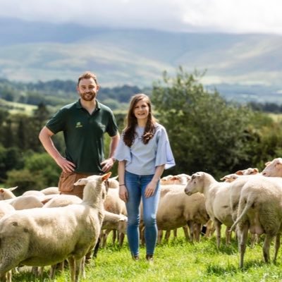 ✨ Blas Gold Award-Winning Traditional Halloumi 🌱 Young Irish Farmers Handcrafting Farm-to-Fork 100% #SheepDairy 🐑🥛🧀🍦 📍The Glen-of-Imaal, Co. Wicklow