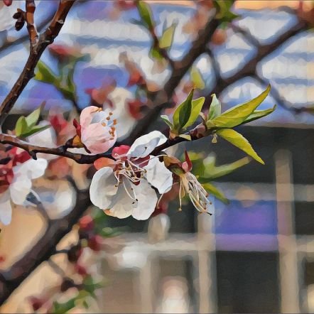 tltcollegemusic's profile picture. Тольяттинский музыкальный колледж им. Р. К. Щедрина. 
Директор Берковская Наталья Владимировна