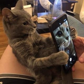 Peterter_Home's profile picture. social