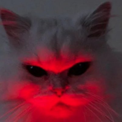 🇷🇺 Cat // Memedealer // Video editer // Mod @cisaimers