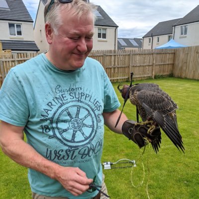 SandyRollo2's profile picture. Falconer