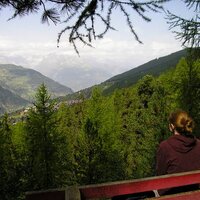 Prof Megan Bruce (@meganlbruce) 's Twitter Profile Photo