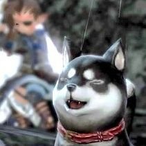 フフジュさんのプロフィール画像