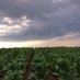 Adams County (@ilovetheusa2000) Twitter profile photo Adams County (@ilovetheusa2000) Twitter profile photo