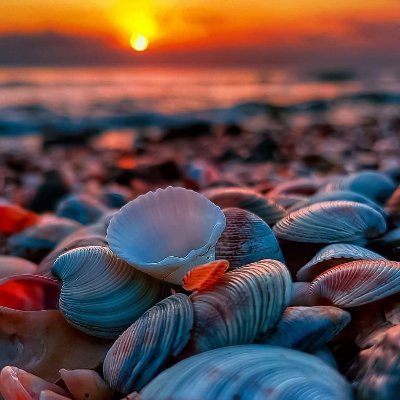 BK7873's profile picture. 