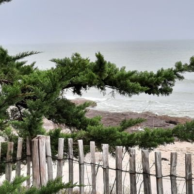 Dominiq42565028's profile picture. 