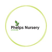 Phelps Nursery(@PhelpsNursery) 's Twitter Profile Photo