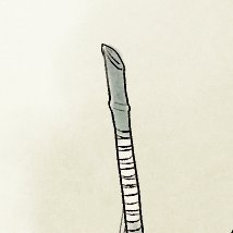 🎋さんのプロフィール画像