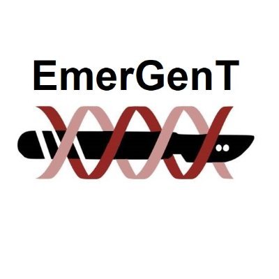 EmergentAcademy Profile Picture