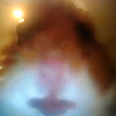 Alfie29152081's profile picture. .