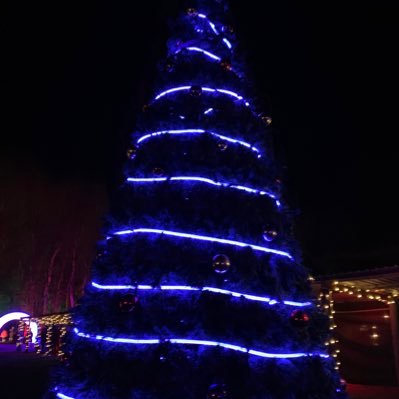 LouiDymond's profile picture. Footy theme parks and family