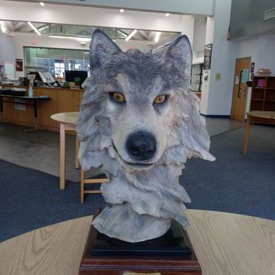 library_lobo's profile picture. 