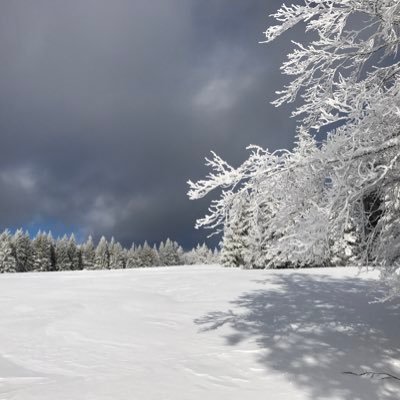 motritz1's profile picture. Ich höre gerne laute Rockmusik,
Habe studiert, E-technik,