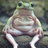 gerdatwitje's profile picture. Woont met de allerleukste in de hemel-op-aarde🇧🇲 Heeft twee prachtige zonen en is trotse eigenaar van de mooiste Friese ⭐️ ruin