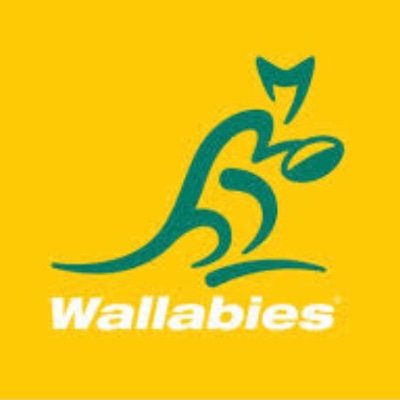 Human Male studing Further Maths. Australia Rugby, Pokémon,Taskmaster, Flags, Community(NBC). Affinities for Chesham, Cheltenham, Carlton and Sutton football!