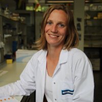 DorienW (@dorienwilmaerts) 's Twitter Profile Photo DorienW (@dorienwilmaerts) 's Twitter Profile Photo