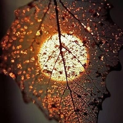 faiqasaeed10's profile picture. To the stars who listen
And dreams that are answered