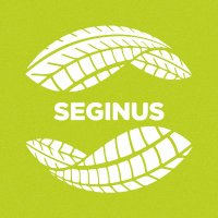 Seginus(@SeginusEc) 's Twitter Profile Photo