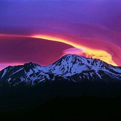 Back End Programmer/Analyst
Photography, gardening, natural sciences, and cooking
