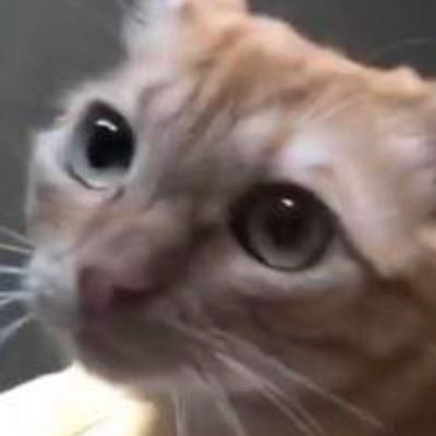 lyorfea's profile image