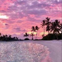 WILSON LATHAN (@wilsonlathan1) 's Twitter Profile