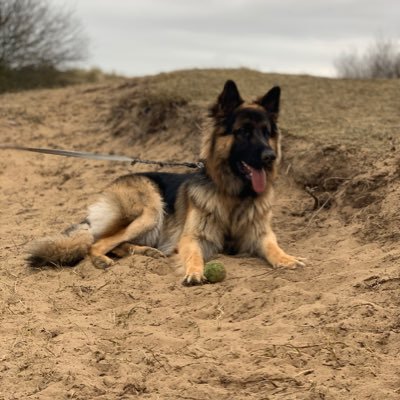 liverpooolfc2's profile picture. 