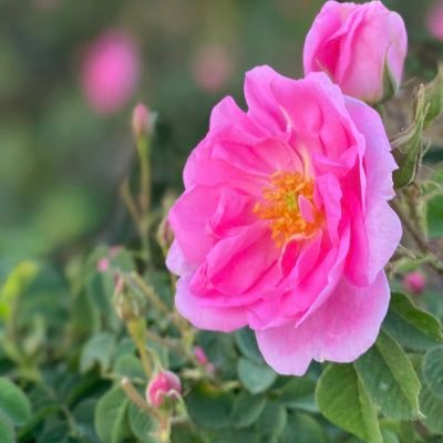 rmg14021's profile picture. &