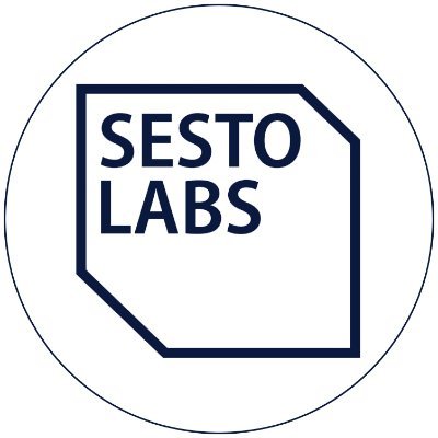 Sesto Labs is a global software product and data innovations lab that utilizes technology to solve complex problems.