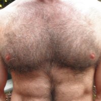 GAJO_GDE (@gdeapollo) 's Twitter Profile