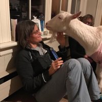 Anita Krajnc(@animalrightsyay) 's Twitter Profile Photo