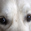 Tim Sparrow - @mulrannyman - Twitter