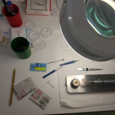 PabloGuerra316's profile picture. 