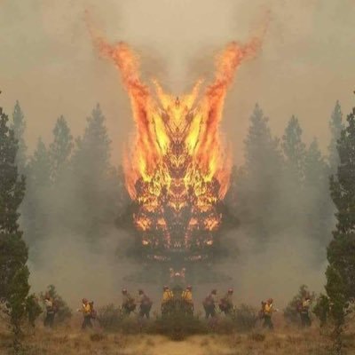 abucki197's profile picture. observateur du monde qui défiiiiiiile. Et bien sûr, mes Tweets n'engagent que moi.