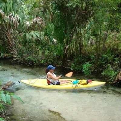 JGandB's profile picture. Am Yisrael  Chai 🇮🇱

NO DM's